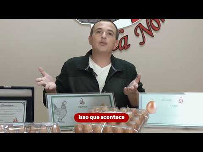 Assinatura | Ovos Vermelhos Extra | Galinhas Livres Cage-Free